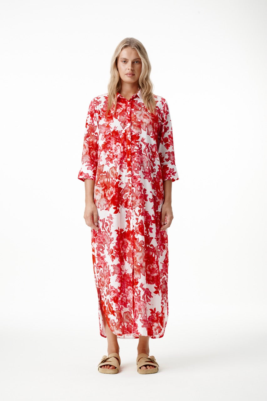 One Season Long Daisy-Rose Blanc-Cotton-White